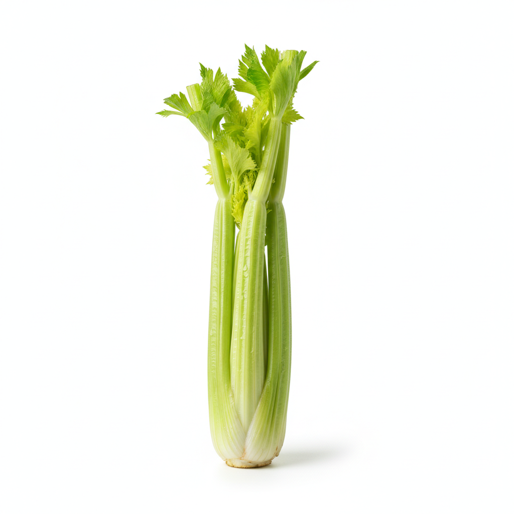 Celery Stalk